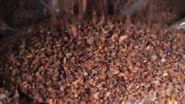 Raisin Processamento Plant Sultana Passa 4Kraisins Máquina Classificação Fábrica Instalação — Vídeo de Stock