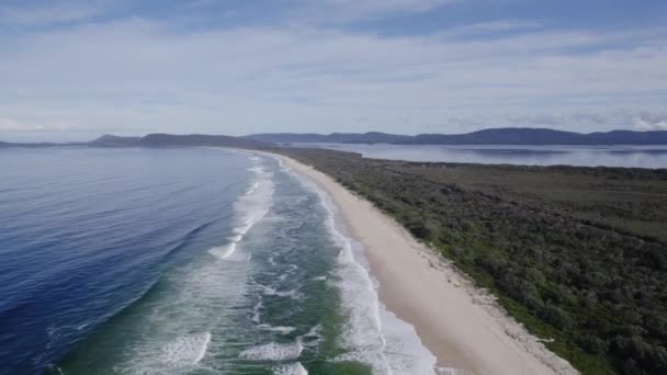 Scenic Seascape White Sand Lush Vegetation Seven Mile Beach New — Stok Video