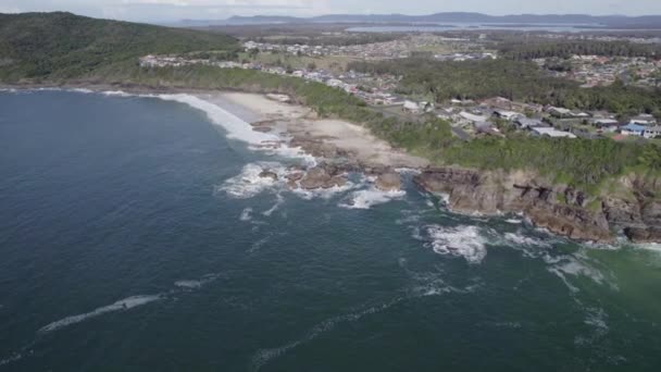Rocky Burgess Beach Coastal Town Forster Vegetation Covered Bluff New — Vídeos de Stock