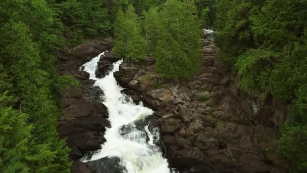 Drone Aéreo Oxtongue Falls Algonquin Park Ontário Canadá Parque Provincial — Vídeo de Stock