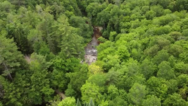 Lotu Ptaka Widok Stubb Falls Arrowhead Provincial Park Niedaleko Huntsville — Wideo stockowe