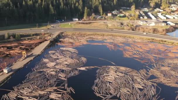 Los Troncos Flotan Agua Molino Lumbar Oregon Drone Lado Derecha — Vídeos de Stock