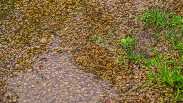 一滴一滴一滴的雨滴落在小水坑的砾石路上 — 图库视频影像