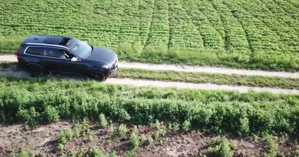 Carro Volvo Está Invertendo Uma Estrada Acidentada Lado Campos Trigo — Vídeo de Stock
