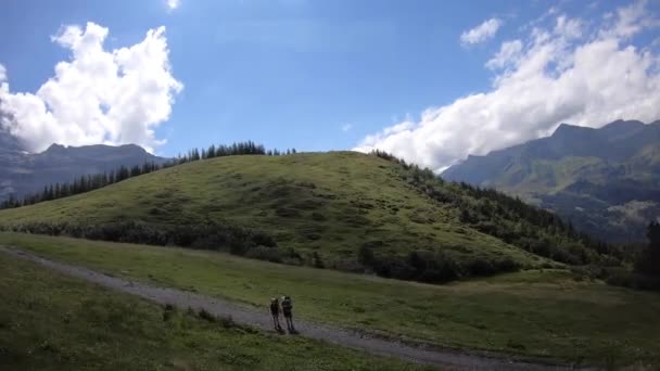 Поїзд Швейцарських Альп Вид Ялиновий Ліс Блакитне Небо Гори — стокове відео