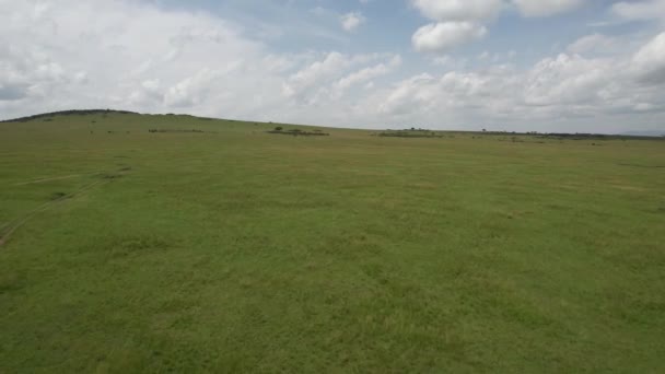 Oändligt Mycket Maasai Mara Kenya — Stockvideo