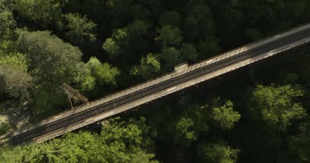 ジョージア州の森林山の高歩道橋の空中ビュー ドローン撮影 — ストック動画