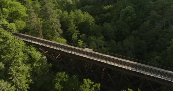 Eisenbahn Der Eiffelbrücke Auf Steilen Waldbergen Zwischen Borjomi Und Bakuriani — Stockvideo