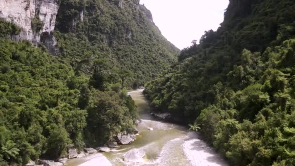 Geweldig Natuurlijk Uitzicht Afgelegen Rivier Jungle Omgeven Door Hoge Kliffen — Stockvideo