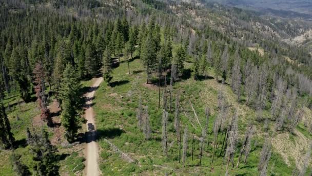 Vehículo Seguimiento Aéreo Estático Camino Tierra Remota Cordillera Idaho — Vídeos de Stock