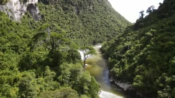 フォックス川の美しいドローンビューとパパロア国立公園 ニュージーランドのネイティブ緑豊かな植生 — ストック動画