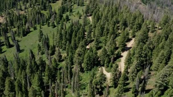 Aérea Siguiente Sinuoso Camino Alpino Través Cresta Las Montañas Verdes — Vídeo de stock