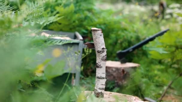 Bijl Snijdt Door Stuk Berkenhout Groene Natuur Zijaanzicht — Stockvideo