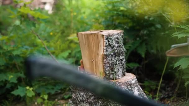 Unrecognizable Man Splits Log Birch Wood Two Axe Slomo Pan — Stock Video