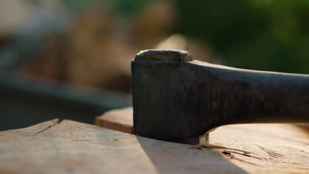 Gros Plan Hache Frappée Dans Bloc Bois Avec Marteau — Video