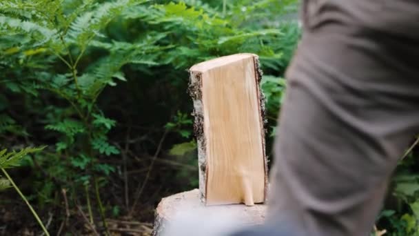 Close View Unrecognizable Man Splitting Log Wood Axe — Stock Video