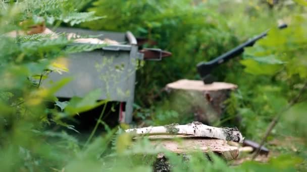 Poêle Lente Comme Hache Coupe Morceau Bois Bouleau Par Des — Video