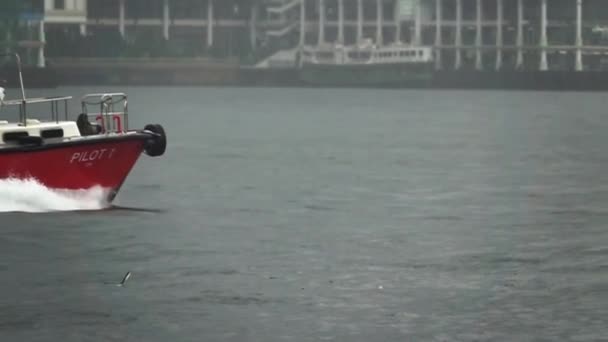 Eine Dynamische Zeitlupenaufnahme Eines Segelbootes Mit Einer Gehissten Flagge Polens — Stockvideo