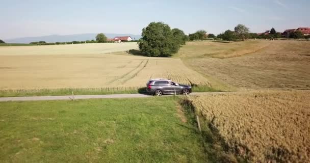 Volvo Jazdy Samochodowe Pobliżu Dużych Pól Pszenicy Wsi Szwajcaria Wodny — Wideo stockowe