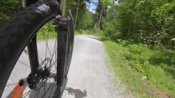 Fietswiel Een Sportieve Tocht Door Het Bos Een Onverharde Weg — Stockvideo