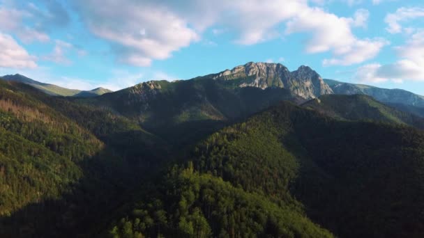 Zakopane Montanhas Tatra Polónia Parque Nacional Tatra Floresta Montanha Verde — Vídeo de Stock