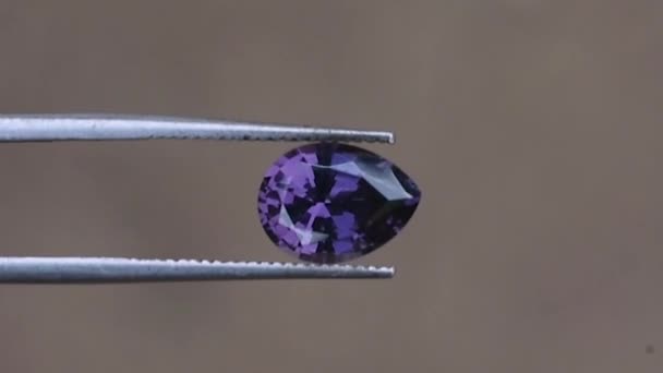 Forma Perie Spinel Violet Sri Lanka — Videoclip de stoc