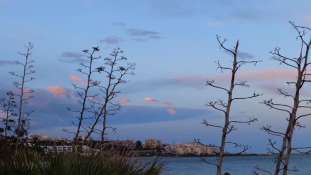 西班牙埃斯特波纳拉拉达海滩热带海岸日落时的宁静场景 静态射击 — 图库视频影像