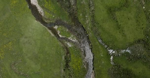 ジョージア州にあるKtsia Tabatskuri管理保護区の緑豊かな風景の中を流れる川のトップダウン 空中ドローンショット — ストック動画