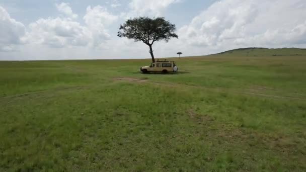Carro 4X4 Acácia Uma Planície Interminável Maasai Mara Quênia — Vídeo de Stock
