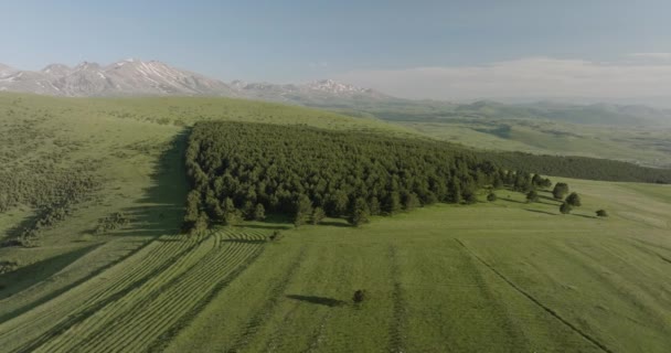 Tarımsal Çayırlara Hazırlanan Ormansız Bir Alanın Sol Görüntüsü — Stok video