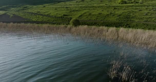 Garis Pendek Danau Tabatskuri Yang Tenang Habitat Alami Untuk Bebek — Stok Video