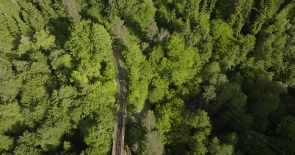 Voe Sobre Ferrovia Ponte Eiffel Lush Forest Valley Perto Bakuriani — Vídeo de Stock