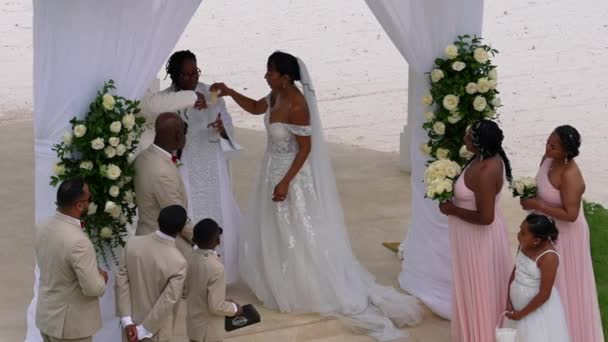 Primer Plano Novia Afroamericana Novio Durante Ceremonia Boda Oficiante Del — Vídeo de stock