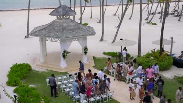 Invitados Afroamericanos Boda Destino Tropical Caribeño Tostadas Champán Después Ceremonia — Vídeos de Stock