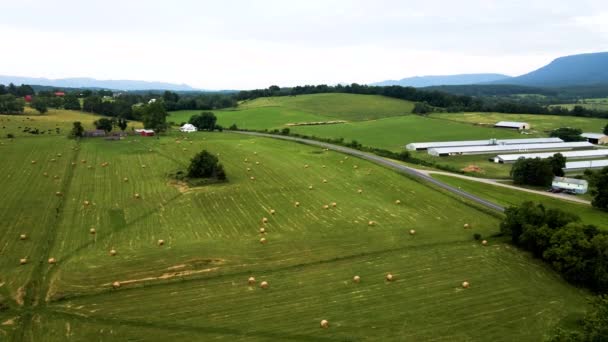 Drohnenaufnahme Eines Mit Grünem Gras Bedeckten Bauernhofs Einem Sonnigen Tag — Stockvideo