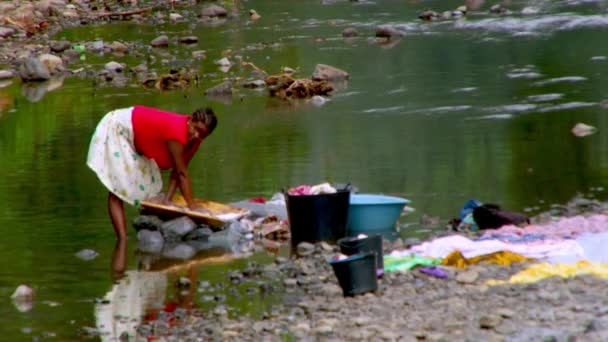 Female African Woman Tom Works Hard Wash Laundry River — Stock Video