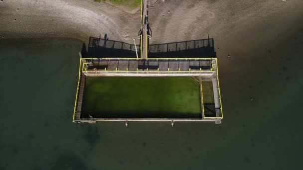 Muž Skákání Motueka Salt Vodní Lázně Bazén Park Pobřeží Vzdušný — Stock video