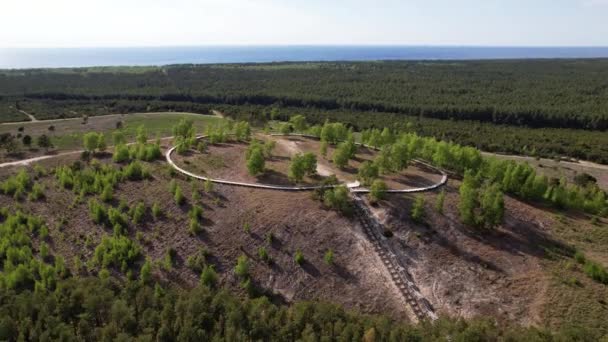 Air View Hilltop Boardwalk Nida Overlooking Forest Trees Curonian Spit — Stock video