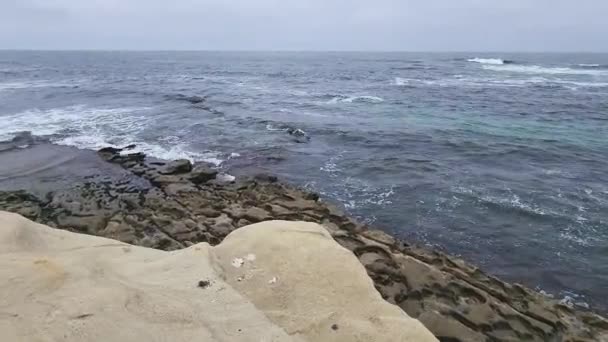 Jolla Rock Pattern Potholes Shore — Stock Video