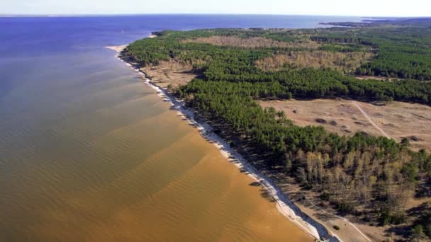 位于立陶宛斯皮特河畔Naglis国家公园的空中飞越海岸线 多利前进 — 图库视频影像