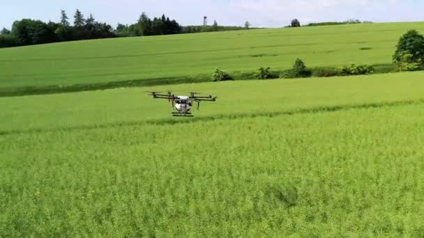 Große Landwirtschaftliche Drohne Dji Terra Fliegt Über Feld Luftaufnahme — Stockvideo