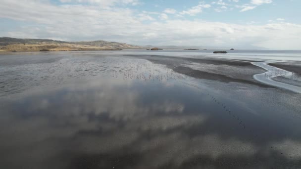 Aproximando Flamingos Voando Lago Natron Tanzânia — Vídeo de Stock