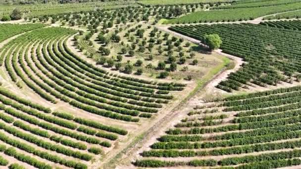 Krajina Venkovského Života Zemědělské Prostředí Zemědělská Venkovská Krajina Farmářská Krajina — Stock video