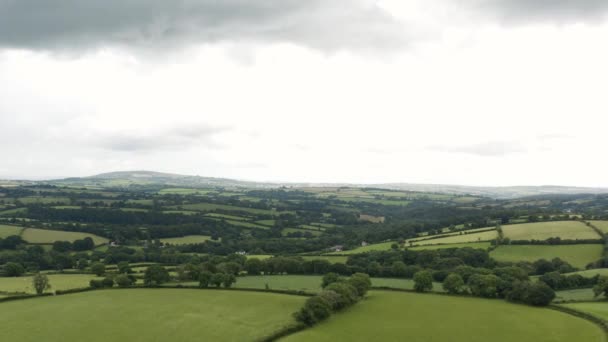 Lenyűgöző Táj Örökzöld Mezők Buja Fák Dartmoor Nemzeti Park Devon — Stock videók