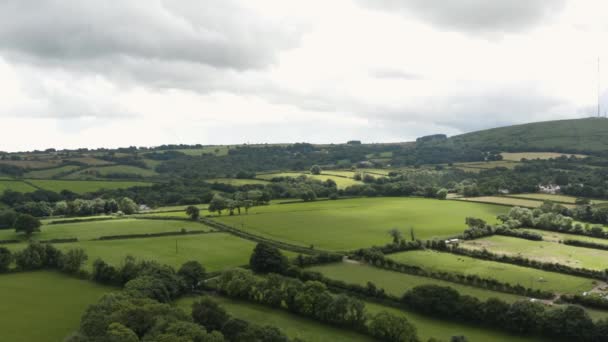 Platteland Groene Wei Weide Dartmoor National Park Devon Verenigd Koninkrijk — Stockvideo