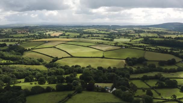 Panoramiczny Widok Pola Uprawne Zachmurzonym Niebem Parku Narodowym Dartmoor Devon — Wideo stockowe