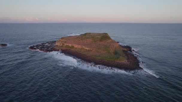 Cook Island Fingal Headland Waves Splashing Sunset Новому Південному Уельсі — стокове відео