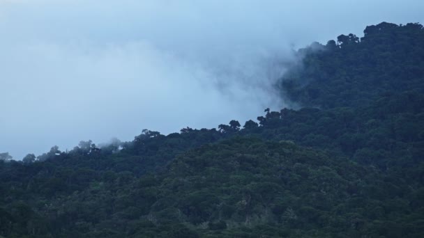 Timelapse Της Κόστα Ρίκα Τοπίο Φύση Time Lapse Της Misty — Αρχείο Βίντεο