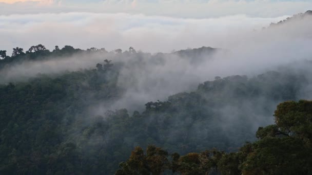 Costa Rica Misty Rainforest Landscape Mountains Scenery Jungle Low Lying — Stock video
