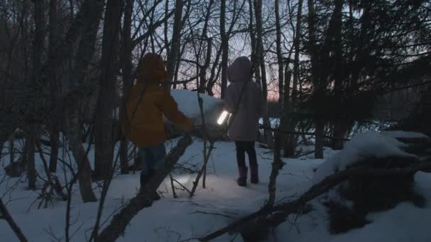 Дети Гуляют Лесу Зимой Снегом Ночью Печальный Взгляд Реальном Времени — стоковое видео